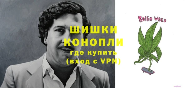 крисы Абдулино
