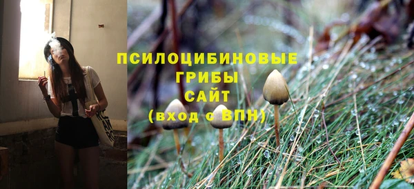 скорость Абаза