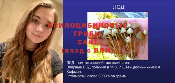 скорость Абаза