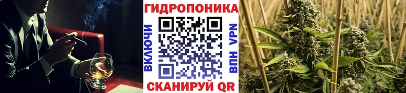 Каннабис план  купить наркотик  blacksprut зеркало  Тутаев 